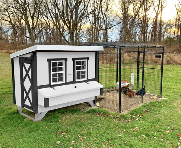 Chicken Coops