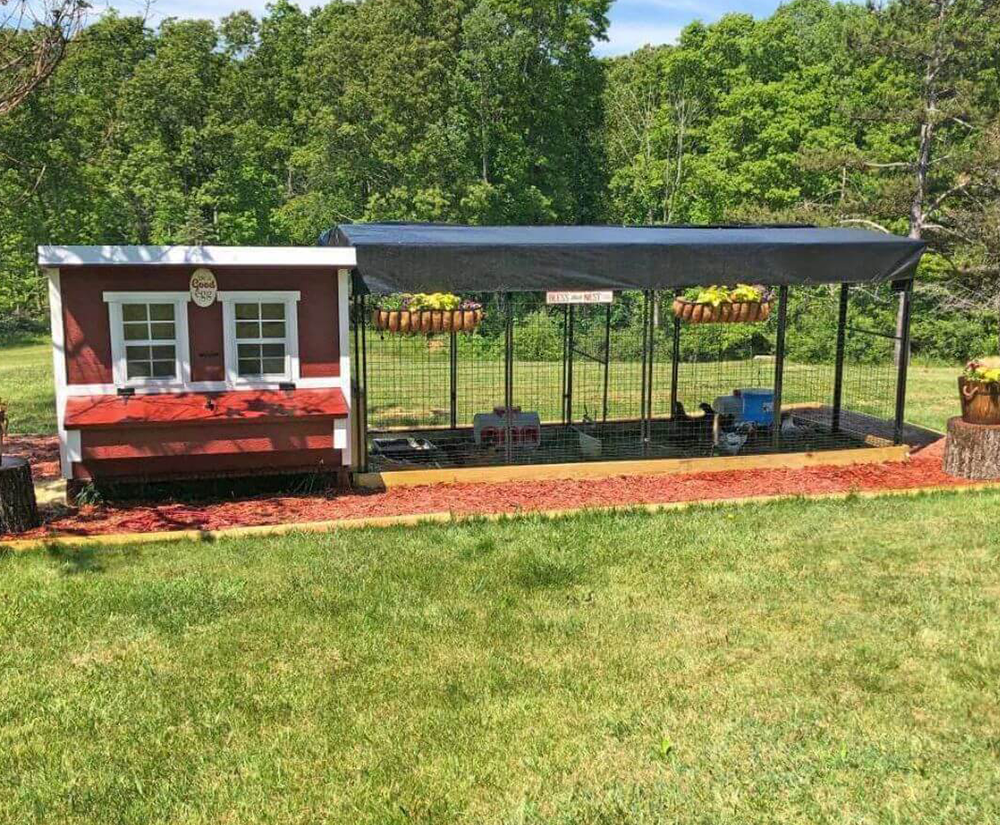 Chicken Coop